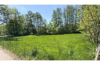 Grundstück zu kaufen in 08118 Hartenstein, Idyllisches Grundstück in Hartenstein