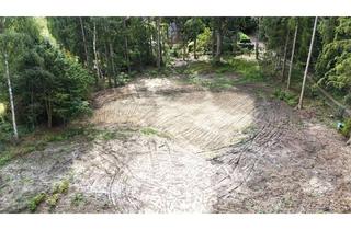 Grundstück zu kaufen in 21244 Buchholz, Großes Grundstück für Ihre Traumhaus in Holm-Seppensen gesucht?