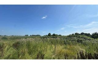 Grundstück zu kaufen in 25371 Seestermühe, Attraktives Baugrundstück (796 m²) in Seestermühe – Wohnen im Dorf