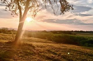Grundstück zu kaufen in 64673 Zwingenberg, Top Grundstück in Zwingenberg