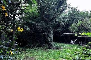 Grundstück zu kaufen in 14167 Zehlendorf, Ruhige Lage in Lichterfelde – schön eingewachsenes Grundstück mit Abrisshaus