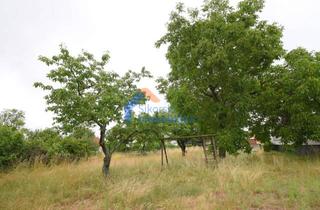 Grundstück zu kaufen in 15890 Schlaubetal, Attraktives Baugrundstück sucht neuen Eigentümer