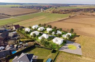 Grundstück zu kaufen in Am Brink, 38464 Groß Twülpstedt, Bauplatz in Velpke - Groß Sisbeck