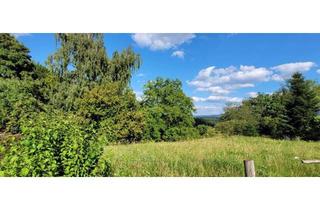 Grundstück zu kaufen in 73527 Schwäbisch Gmünd, Traum-Bauplatz