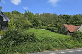 Grundstück zu kaufen in 74918 Angelbachtal, Großes Baugrundstück in Randlage