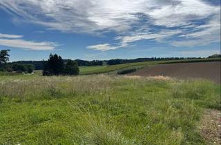 Grundstück zu kaufen in 85408 Gammelsdorf, Unverbautes, wunderschönes Wohnbaugrundstück am Ortsrand von Gammelsdorf