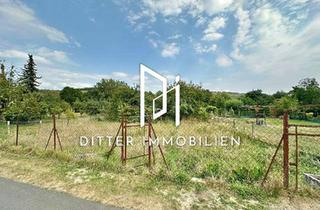 Grundstück zu kaufen in Obere Torstraße, 97941 Tauberbischofsheim, Wohnbaugrundstück in Top Lage von Dittigheim, unmittelbar vom Dittigheimer Wehr entfernt!