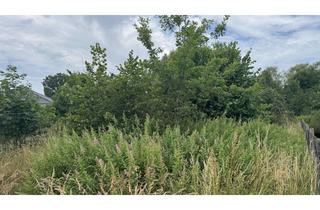 Grundstück zu kaufen in 03051 Gallinchen, Ein Grund zum Bauen!