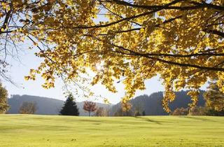 Grundstück zu kaufen in 83700 Rottach-Egern, Sonniges Grundstück für Einfamilienhaus