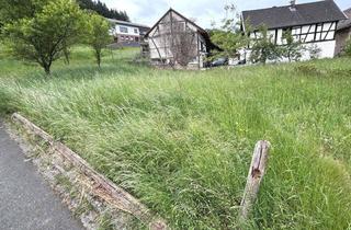 Grundstück zu kaufen in 53506 Kesseling, Großes Grundstück mit Altbestand zur Neubebauung