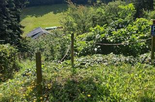 Grundstück zu kaufen in 99848 Wutha-Farnroda, Großes unbebautes Grundstück nähe Eisenach