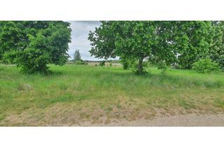 Grundstück zu kaufen in 15377 Oberbarnim, 2 Baugrundstücke zuzüglich ca. 913 m² Gartenland für Pferd, Pool, Spielplatz zu verkaufen!