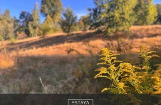 Grundstück zu kaufen in 09125 Harthau, Ruhe genießen – Baugrundstück am Naturschutzgebiet in Chemnitz-Harthau