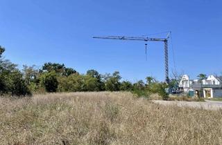 Grundstück zu kaufen in 79395 Neuenburg, Bauplatz mit viel Potential in Neuenburg am Rhein/ Grißheim