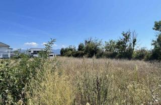 Grundstück zu kaufen in 79395 Neuenburg, Familienfreundliches Baugrundstück in Neuenburg- Grißheim