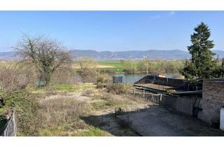 Grundstück zu kaufen in 68535 Edingen-Neckarhausen, +++ TRAUMGRUNDSTÜCK FÜR ZWEI DHH DIREKT AM NECKAR IN EDINGEN +++