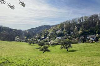 Grundstück zu kaufen in 64625 Bensheim, Südhanggrundstück in ruhiger Lage mit unverbautem Ausblick