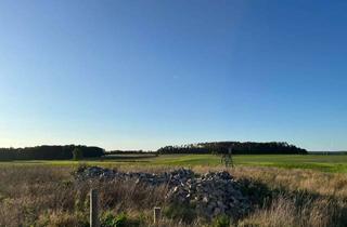 Grundstück zu kaufen in 91315 Höchstadt, Bestes Grundstück an Ortsrandlage