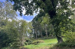 Grundstück zu kaufen in 24340 Eckernförde, Baugrundstück bei Eckernförde