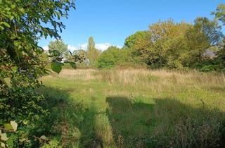 Grundstück zu kaufen in 04509 Wiedemar, Ihr neues Zuhause beginnt hier – ruhiges Grundstück nahe Leipzig und Halle