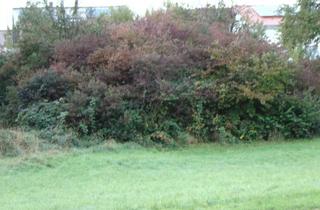 Grundstück zu kaufen in 75203 Königsbach-Stein, Bauplatz am Ortsrand von Königsbach-Stein