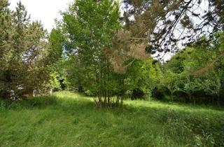 Grundstück zu kaufen in Waldwiesen, 61239 Ober-Mörlen, Grundstücke in der Waldsiedlung Bottenberg-Waldwiesen