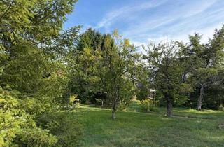 Grundstück zu kaufen in 16562 Hohen Neuendorf, Großes sonniges Grundstück für 2 EFH in begehrter Lage Hohen Neuendorf