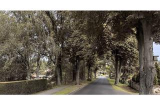 Grundstück zu kaufen in Schenkenberger Straße, 14550 Groß Kreutz, Großzügiges Baugrundstück in Jeserig – teilbar, vielseitig bebaubar, attraktiv gelegen