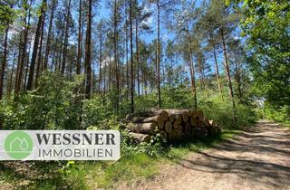 Grundstück zu kaufen in 14624 Dallgow-Döberitz, Waldflächen in Dallgow-Döberitz – nahe der Berliner Stadtgrenze