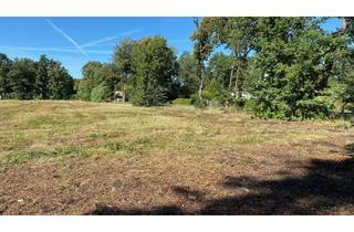 Grundstück zu kaufen in 04928 Schraden, Großzügige Baugrundstücke zu verkaufen!