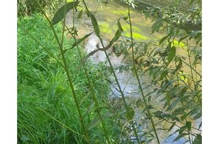 Grundstück zu kaufen in Wasserstraße 16, 01454 Radeberg, Baugrundstück in der Innenstadt von Radeberg am Ufer der Großen Röder