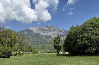 Grundstück zu kaufen in 83435 Bad Reichenhall, XXL-Grundstück in Bad Reichenhall für viele Möglichkeiten: Exklusives Wohnen, Mehrgenerationenhaus o