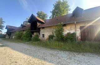 Grundstück zu kaufen in 94094 Rotthalmünster, Baugrundstück für Wohnheim, großer Denkmalstadl und Garagengebäude in Rotthalmünster/Zentrum