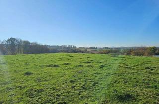 Grundstück zu kaufen in 53567 Buchholz, Baugrundstück mit wunderschöner unverbaubarer Weitsicht in Buchholz OT!