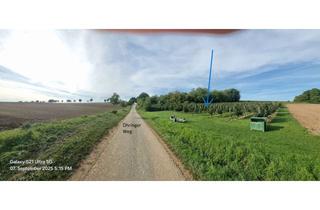 Grundstück zu kaufen in Öhringer Weg, 74613 Öhringen, Freizeitgrundstück in sonniger Lage, mit Baumstück und Holzhütte.