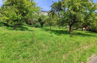 Grundstück zu kaufen in Beethovenweg, 73655 Plüderhausen, Bauplatz in Bestlage