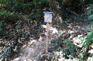 Grundstück zu kaufen in Lorsbacher Straße, 65817 Eppstein, Lorsbacher Straße 7 in Eppstein