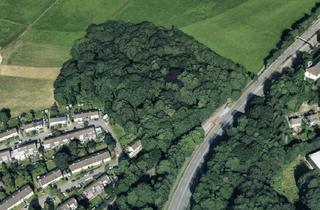 Grundstück zu kaufen in Am Knöchel, 42369 Ronsdorf, Waldgrundstück an der L419 mit verschiedenen Nutzungsmöglichkeiten