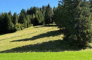 Grundstück zu kaufen in 82494 Krün, Landwirtschaftliches Grundstück mit Heustadel in Krün / Ortsteil Barmsee zu verkaufen.
