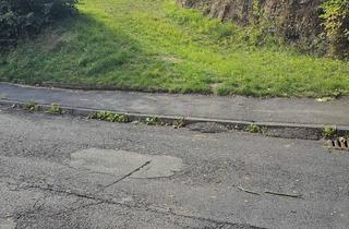 Grundstück zu kaufen in 34513 Waldeck, Grundstück mit schöner Aussicht