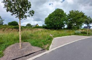 Grundstück zu kaufen in An Tilzow, 18528 Bergen, Grundstück auf der Ostseeinsel Rügen in Bergen OT Tilzow