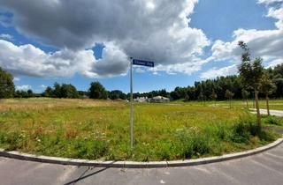 Grundstück zu kaufen in An Tilzow, 18528 Bergen, Wohnen auf der Sonneninsel Rügen - Baugrundstück in Bergen OT Tilzow