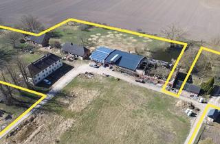 Grundstück zu kaufen in 18574 Gustow, Historisches Gut mit 3,3 ha Bauerwartungsland