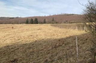 Grundstück zu kaufen in Oberer Gispel 4. Gewann Und Hinterm Danseifen, 2. Gewann, 35716 Dietzhölztal, Bauerwartungsland mit Ausgleichsfläche und Grünland in Ewersbach