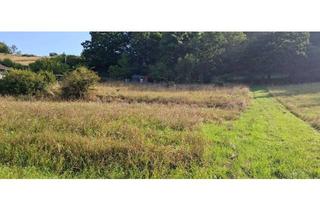 Grundstück zu kaufen in 35216 Biedenkopf, Attraktives Bauerwartungsland in schönster und unverbauter Sonnenlage - OT Biedenkopf