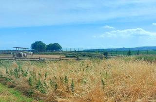 Grundstück zu kaufen in 50189 Elsdorf, Wohnen am Horizont Baugrundstück in Elsdorf [ ohne Bauträgerbindung]