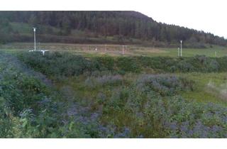 Grundstück zu kaufen in 78570 Mühlheim, Sonniges Grundstück in toller Lage