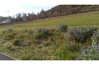 Grundstück zu kaufen in 78570 Mühlheim, Attraktives Baugrundstück im schönen Donautal