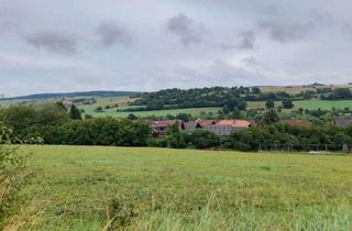 Grundstück zu kaufen in 63633 Birstein, Grün- und landwirtschaftliche Fläche direkt am Ortsrand