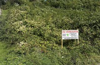 Grundstück zu kaufen in St. Alban Weg 16, 79539 Lörrach, Grundstück in Top Lage mit Baugenehmigung!